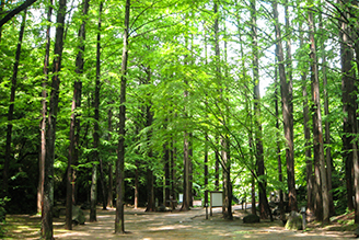 IKUTA RYOKUCHI PARK