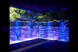 Kawasui (Kawasaki Aquarium)