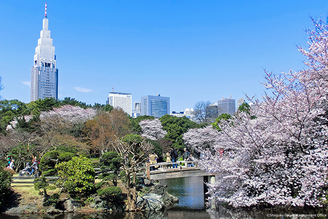 Shinjuku Gyoen National Garden