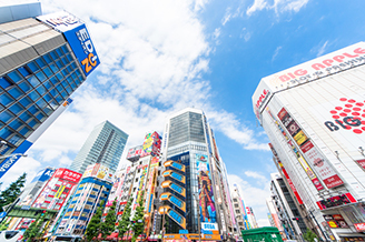 Akihabara/Electric Town area