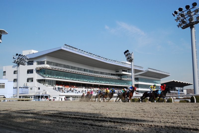 川崎競馬場