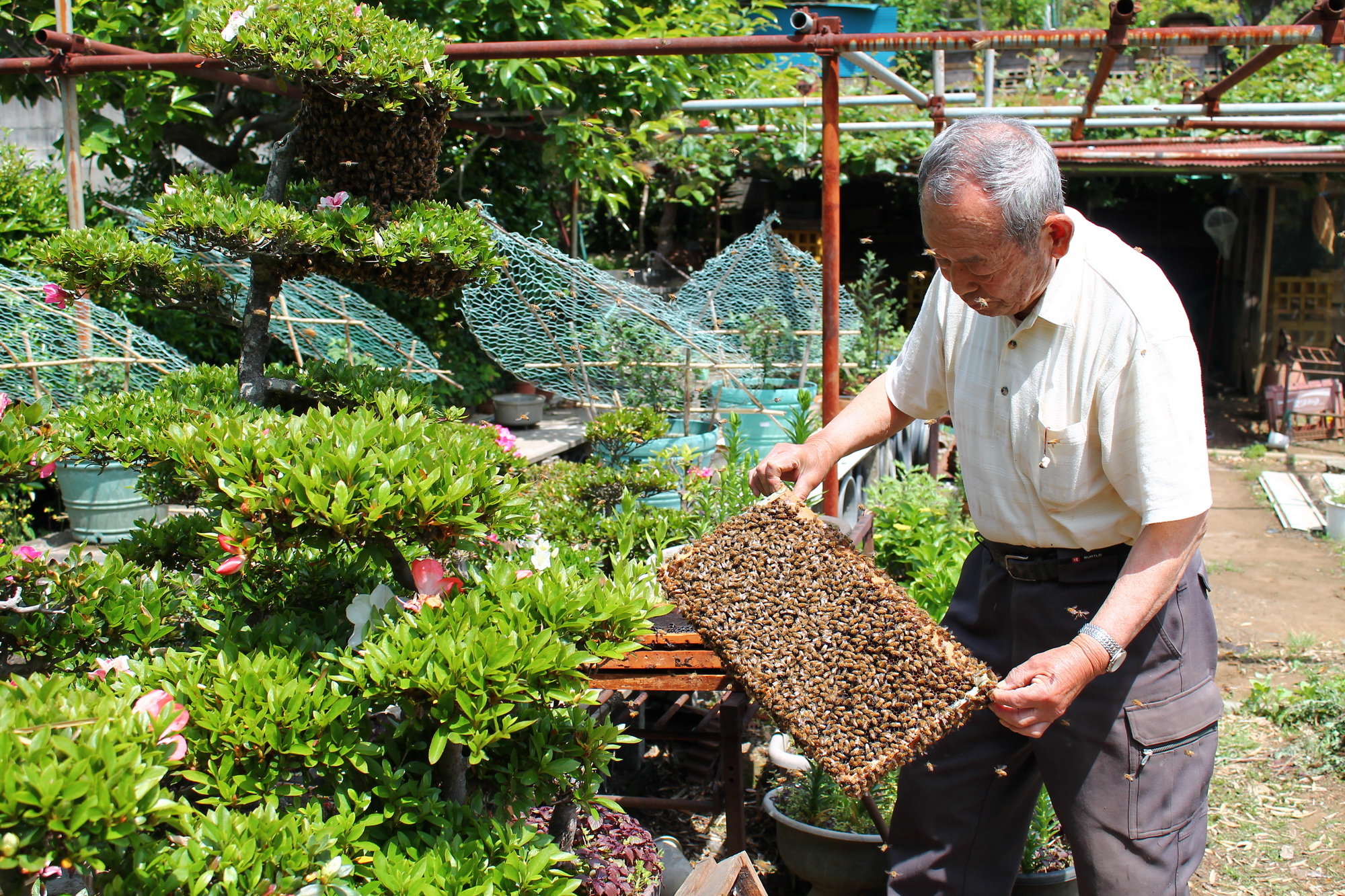 地産地消・生産者との連携